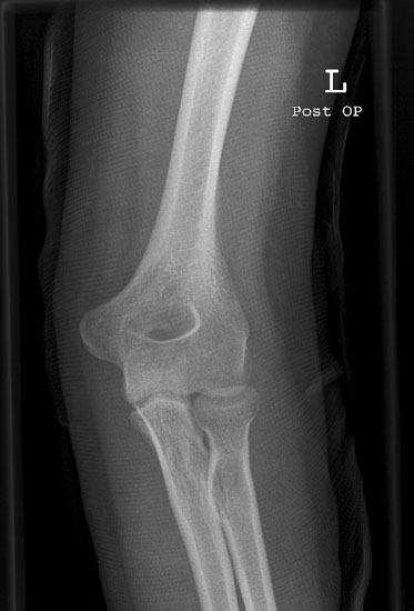 11_2.jpg