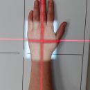 Mittelhand_ap_1.jpg